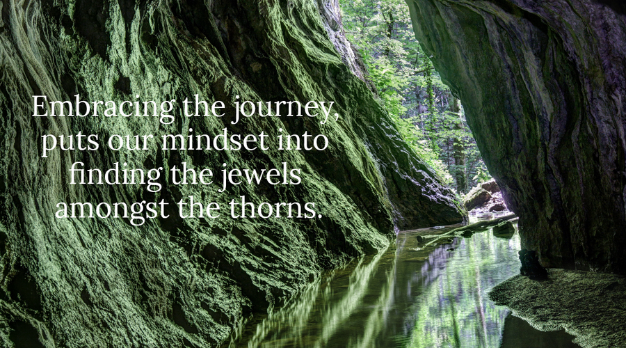 Embrace the Journey — 01-03
