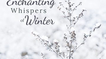 Enchanting Whispers of Winter