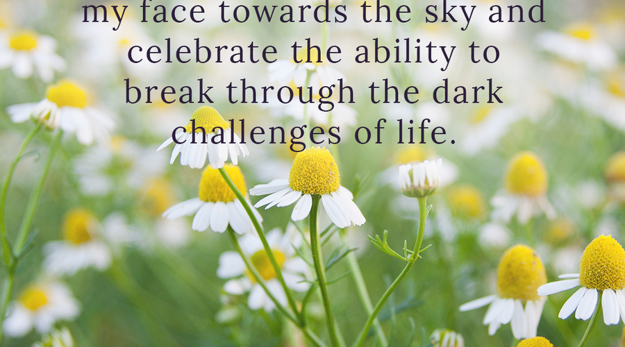 Enchanting Whispers of Spring – Affirmation 02-02