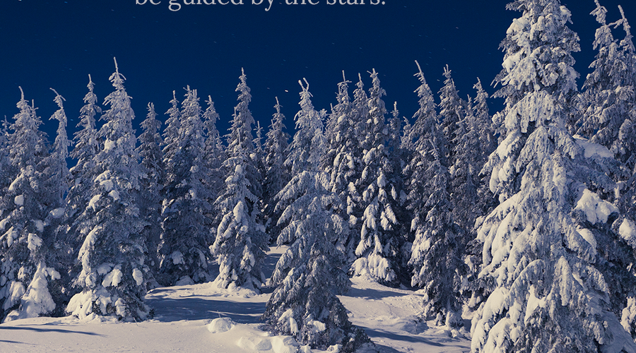 Enchanting Whispers of Winter—Day Three-02
