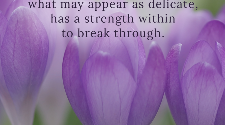 Enchanting Whispers of Spring – Affirmation 03-02