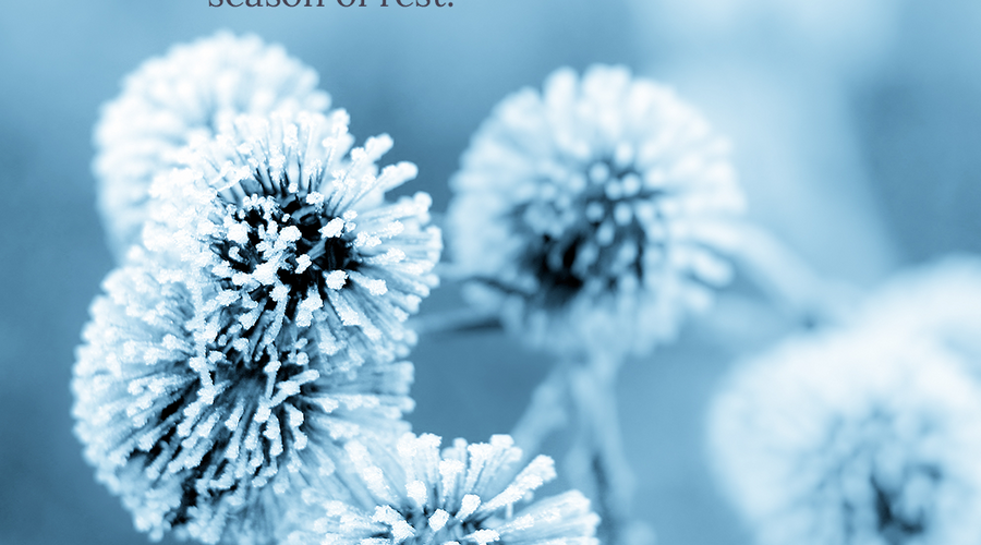Enchanting Whispers of Winter—Day Three-03