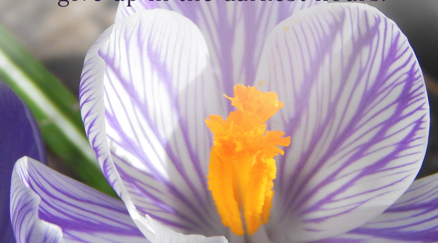 Enchanting Whispers Of Spring – Affirmation 04-01