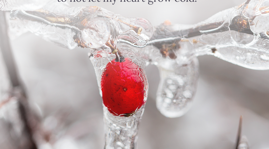 Enchanting Whispers of Winter—Day Four-02