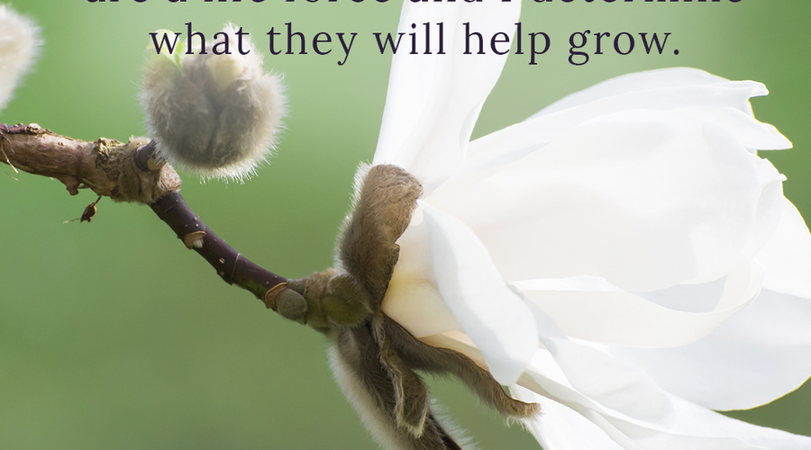 Enchanting Whispers Of Spring – Affirmation 04-02