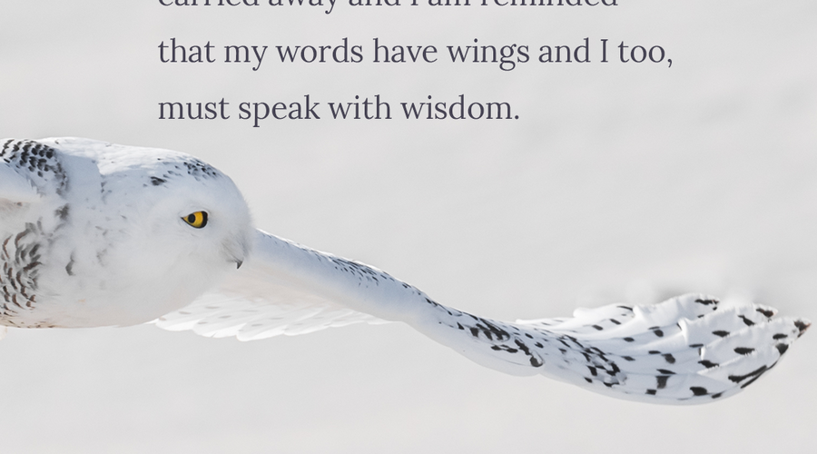 Enchanting Whispers of Winter—Day Four-03
