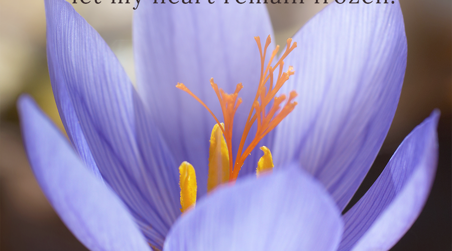 Enchanting Whispers Of Spring – Affirmation 04-03