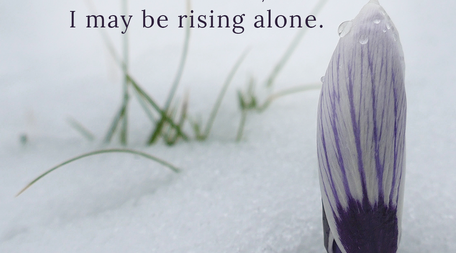 Enchanting Whispers Of Spring – Affirmation 05-02