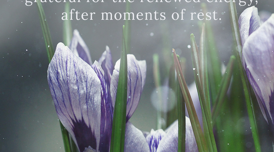 Enchanting Whispers Of Spring – Affirmation 05-03