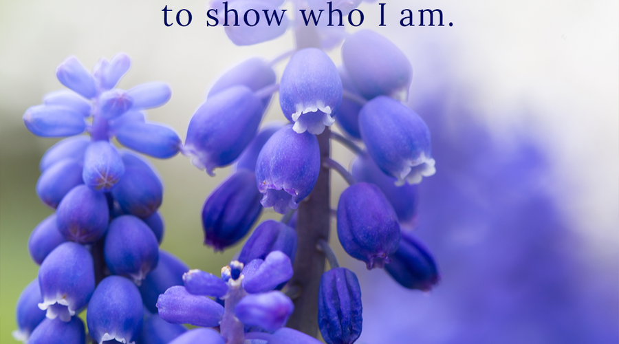 Enchanting Whispers Of Spring – Affirmation 06-01