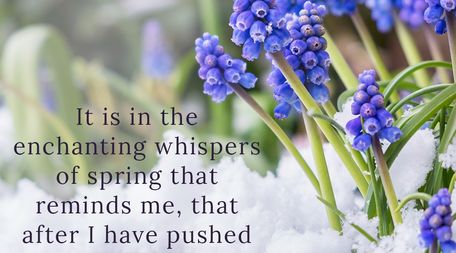 Enchanting Whispers Of Spring – Affirmation 06-02