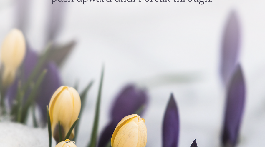 Enchanting Whispers of Winter—Day Seven-01