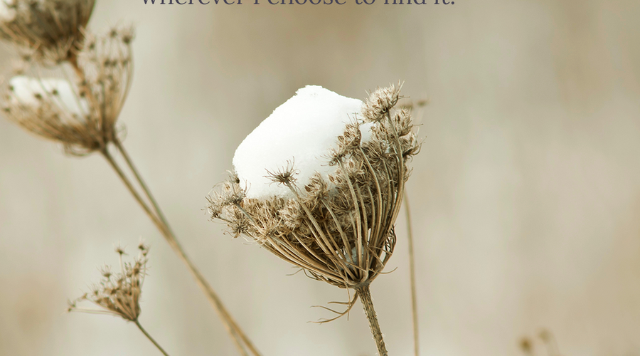 Enchanting Whispers of Winter—Day Seven-02