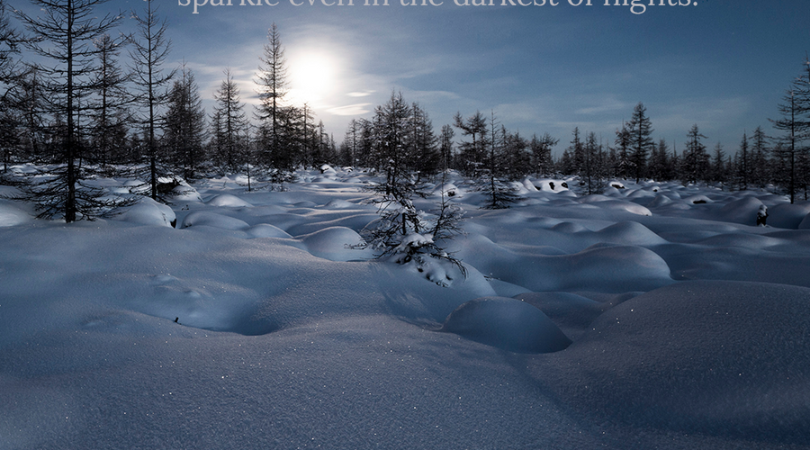 Enchanting Whispers of Winter—Day Seven-03