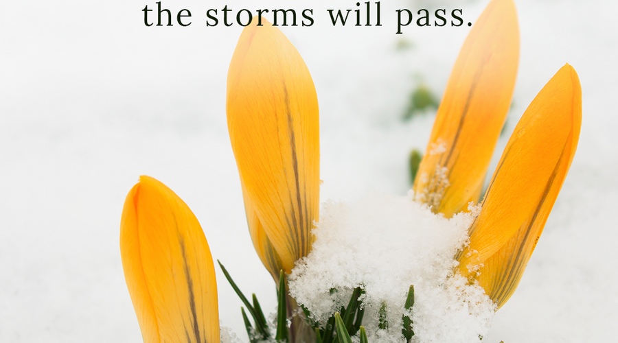 Enchanting Whispers of Spring – Affirmation 08-01