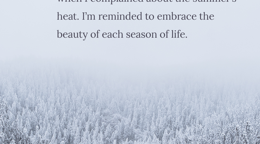 Enchanting Whispers of Winter—Day Eight-03