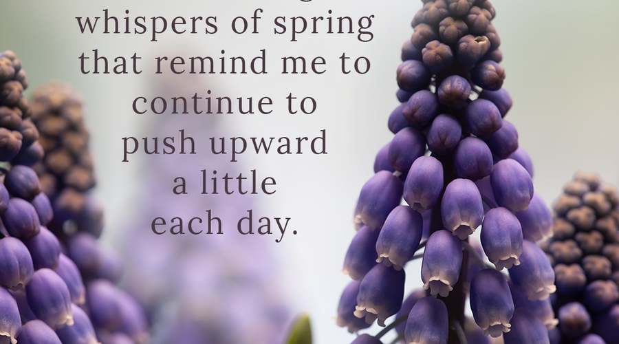Enchanting Whispers of Spring – Affirmation 08-03