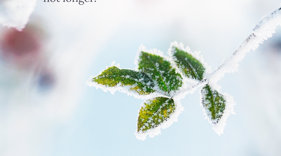 Enchanting Whispers of Winter—Day Nine-02