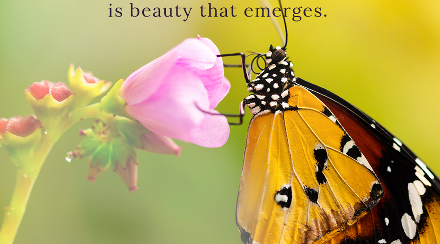 Enchanting Whispers of Spring – Affirmation 09-02