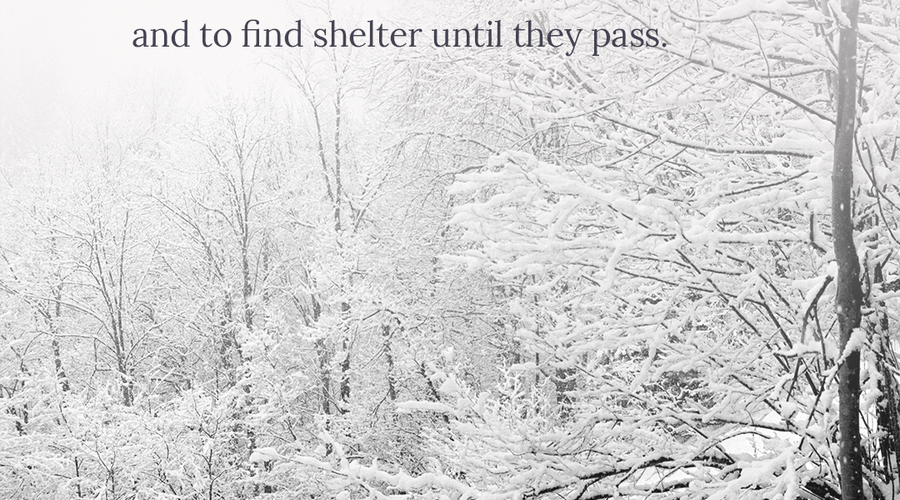 Enchanting Whispers of Winter—Day Nine-03