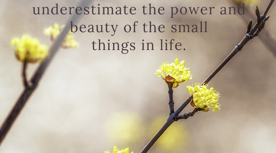 Enchanting Whispers of Spring – Affirmation 09-03