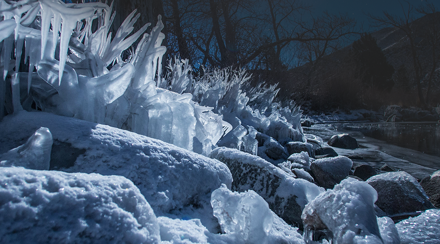 Enchanting Whispers of Winter—Day Eleven-01