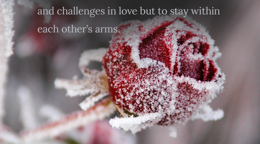 Enchanting Whispers of Winter—Day Eleven-03