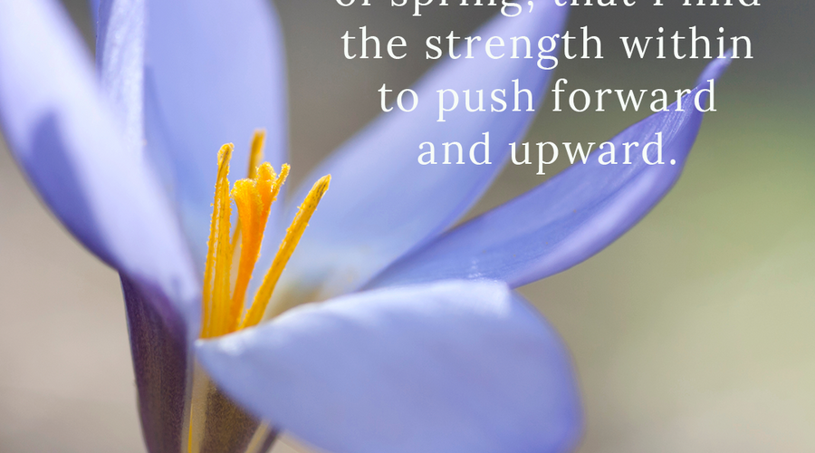 Enchanting Whispers of Spring – Affirmation 11-03