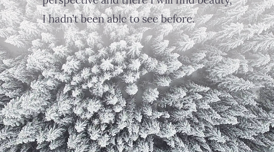 Enchanting Whispers of Winter—Day Twelve-02