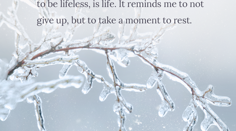 Enchanting Whispers of Winter—Day Twelve-03
