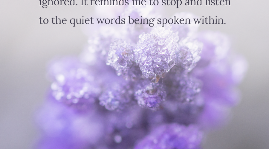 Enchanting Whispers of Winter—Day Thirteen-01