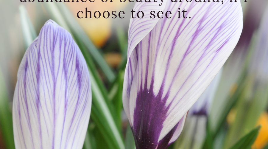 Enchanting Whispers of Spring – Affirmation 13-01