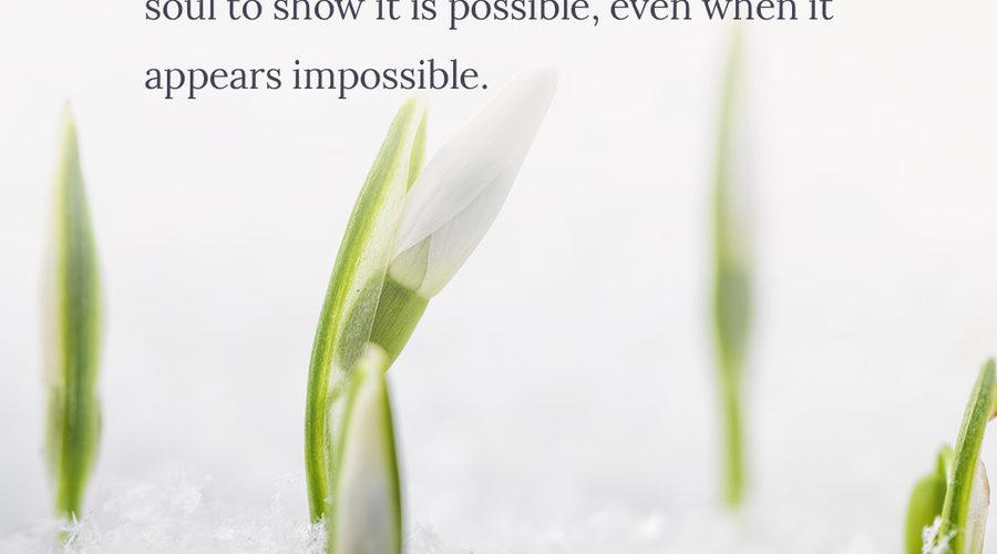 Enchanting Whispers of Winter—Day Thirteen-02