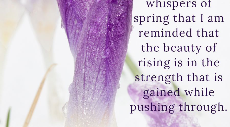 Enchanting Whispers of Spring – Affirmation 13-02