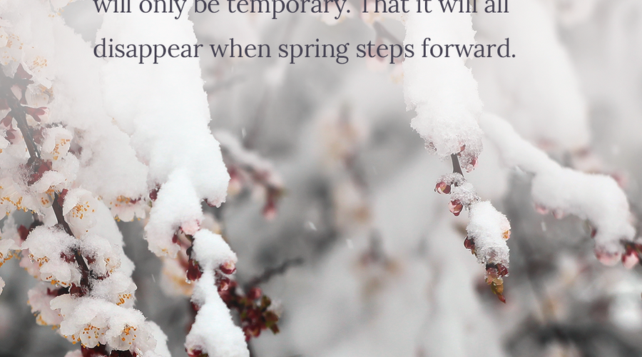 Enchanting Whispers of Winter—Day Thirteen-03