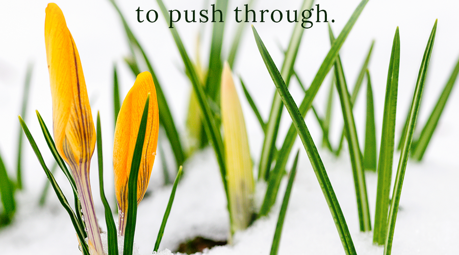 Enchanting Whispers of Spring – Affirmation 13-03