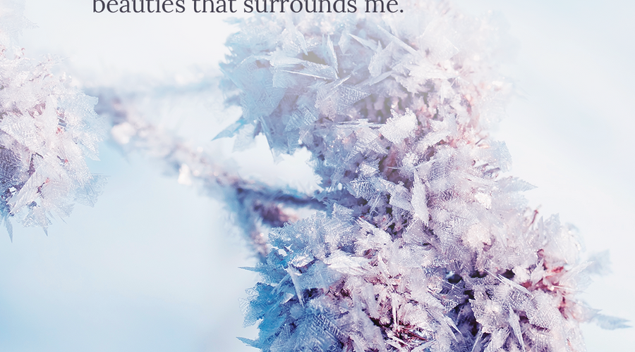 Enchanting Whispers of Winter—Day Fourteen-01