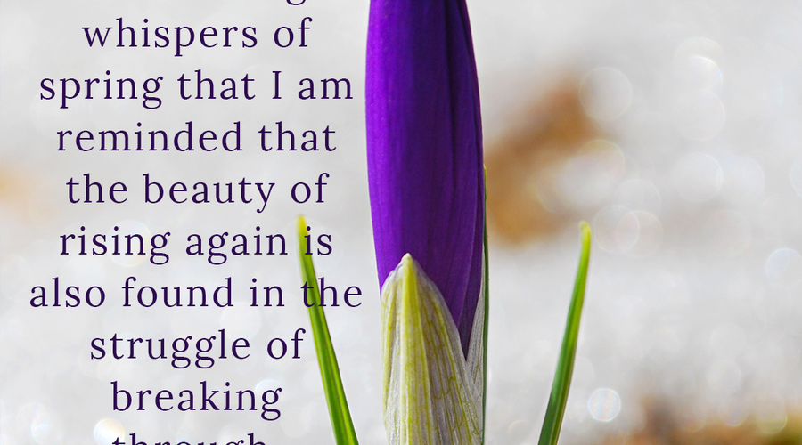 Enchanting Whispers of Spring – Affirmation 14-02
