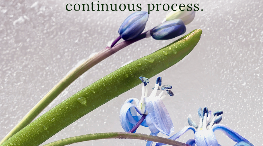 Enchanting Whispers of Spring – Affirmation 14-03