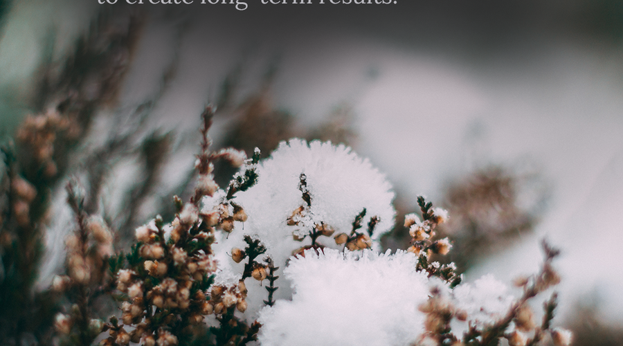 Enchanting Whispers of Winter—Day Fifteen-02
