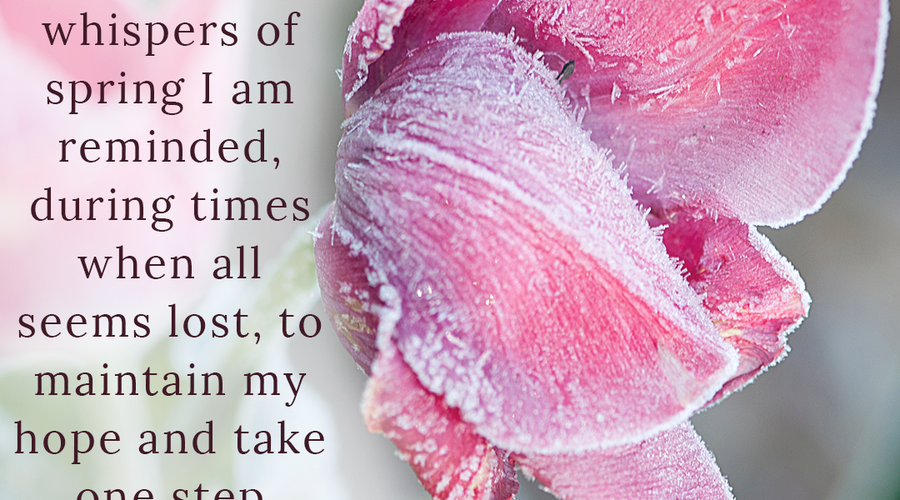 Enchanting Whispers of Spring – Affirmation 16-02