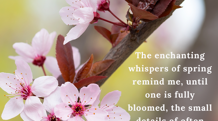 Enchanting Whispers of Spring – Affirmation 17-01