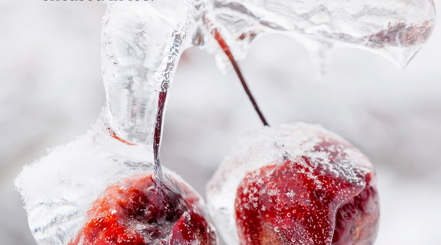 Enchanting Whispers of Winter—Day Seventeen-03