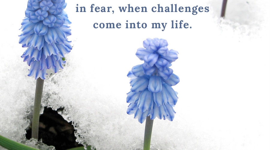 Enchanting Whispers of Spring – Affirmation 18-01