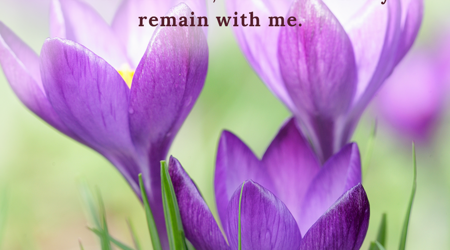 Enchanting Whispers of Spring – Affirmation 20-01