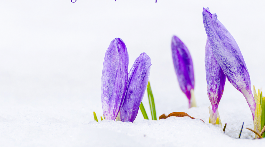 Enchanting Whispers of Spring – Affirmation 22-01