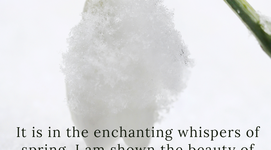 Enchanting Whispers of Spring – Affirmation 22-03