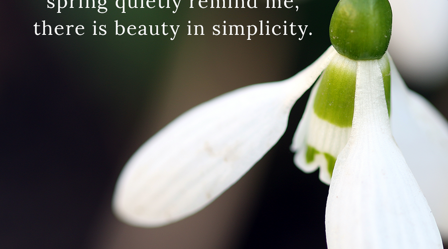 Enchanting Whispers of Spring – Affirmation 24-01