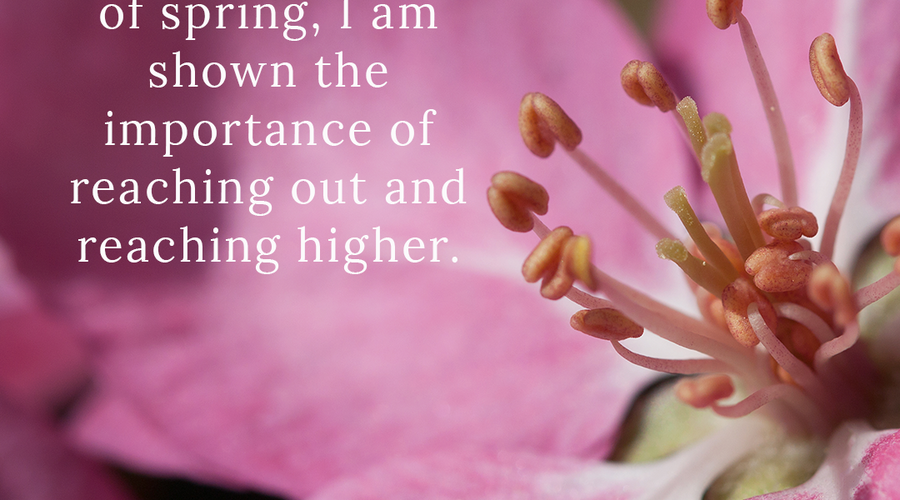 Enchanting Whispers of Spring – Affirmation 24-03