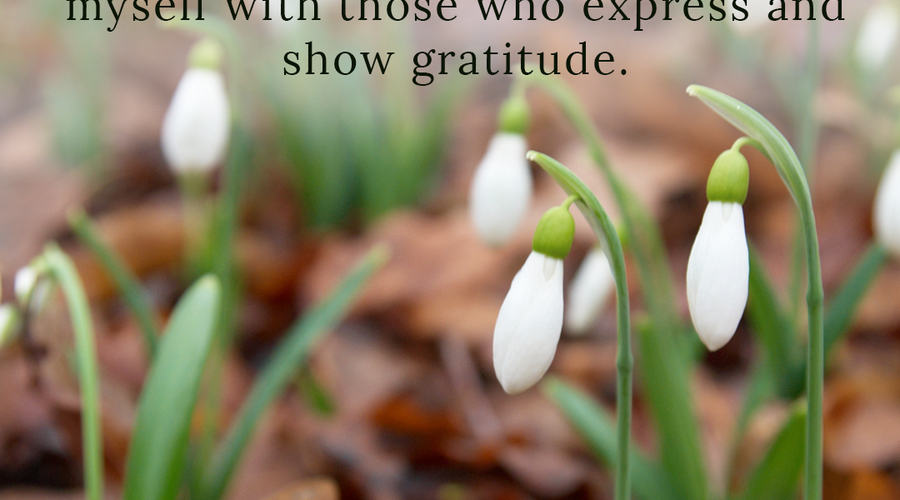 Enchanting Whispers of Spring – Affirmation 25-01